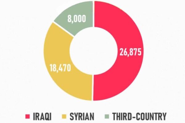 Еще больше граждан Ирака репатриировано из лагеря «Холь»