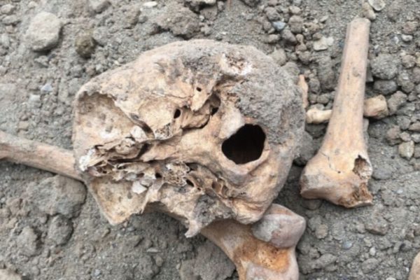 В центральном Ване нашли человеческие кости