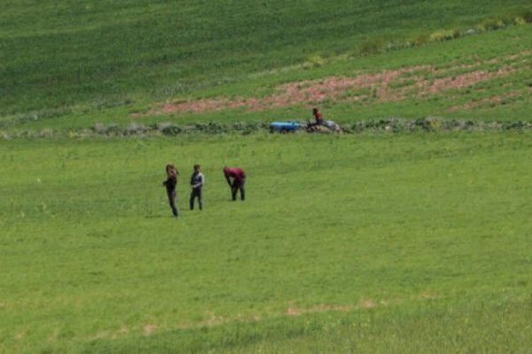 Весна несет счастье жительницам Шахбы
