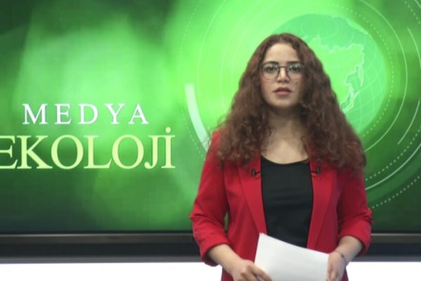Журналист обвиняется без доказательств