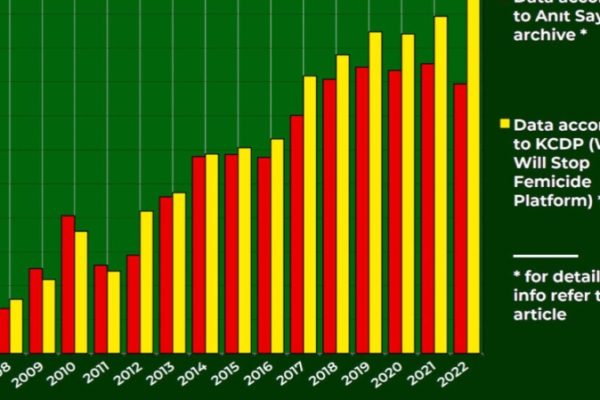 Информационное бюро ЖОС опубликовало отчет о фемициде в Турции при ПСР