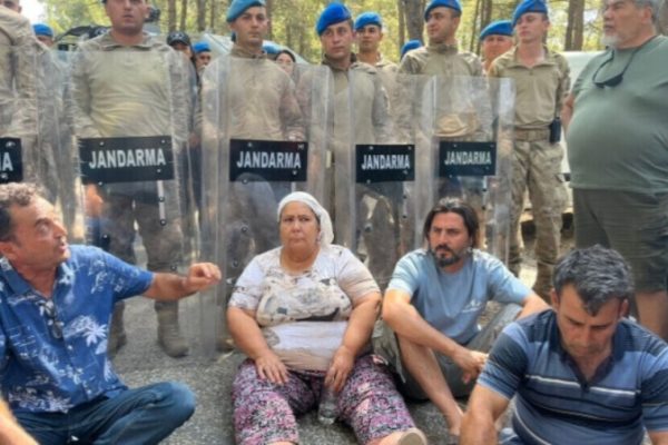 В Акбелене продолжается протест из-за вырубки леса