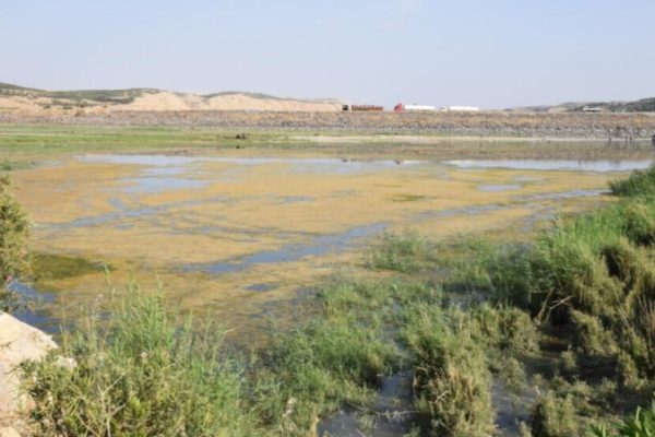 Турция продолжает перекрывать воду в реке Евфрат, от этого страдают тысячи жителей Рожавы