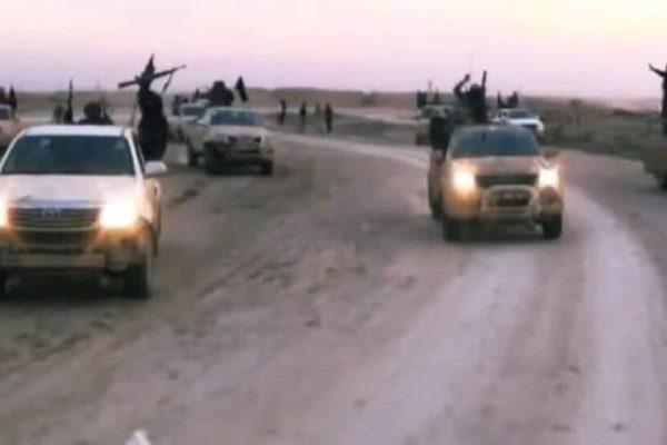 Боевики ИГИЛ убили двух сборщиков трюфелей в сельской местности Ракки