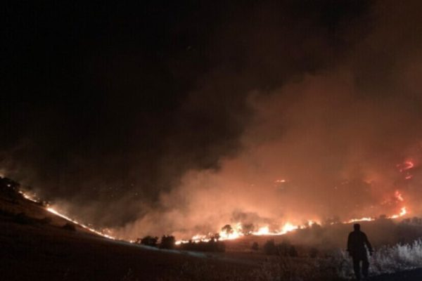 «Красный полумесяц» призвал финансово поддержать жертв пожара в Амеде-Мардине