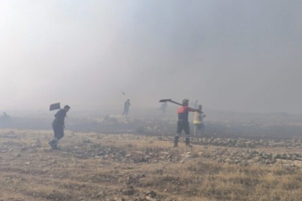 Пожар угрожает 14 деревням в Нусайбине