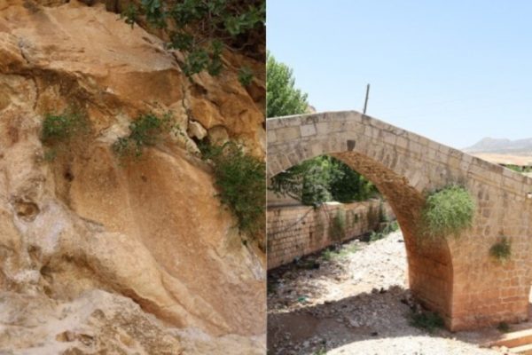 6 тысяч лет древней истории будут погребены под водами дамбы