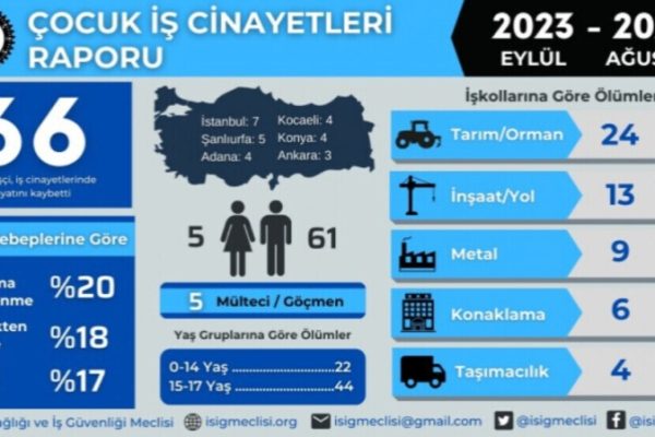 Ассоциация охраны труда: на производстве погибли 66 несовершеннолетних