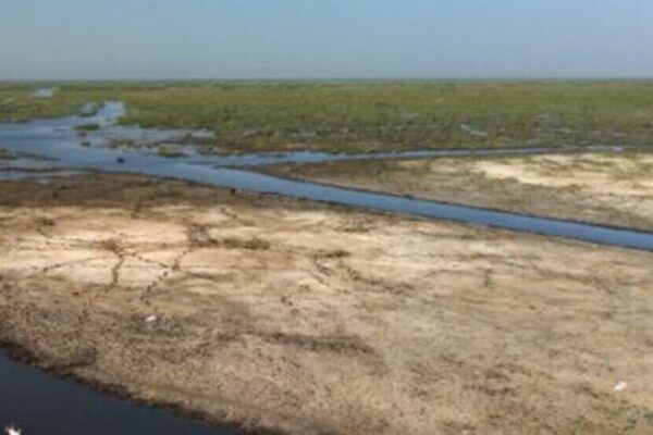 В Ираке усугубляется водный кризис: наихудшая ситуация за 80 лет