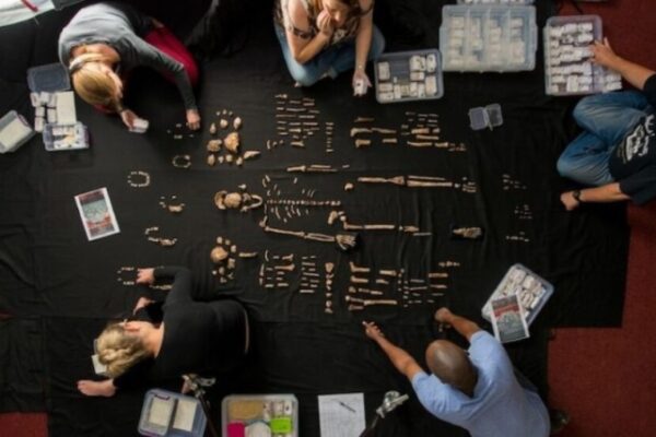 Новые доказательства подтверждают погребальные ритуалы Homo Naledi