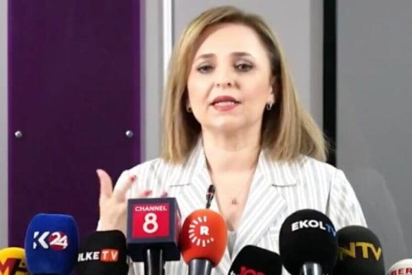 Айшегюль Доган: приобретения курдов в Сирии — не угроза, а возможность