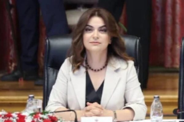 Гулистан Кочийгит отметила необходимость законодательных изменений на заседании комиссии