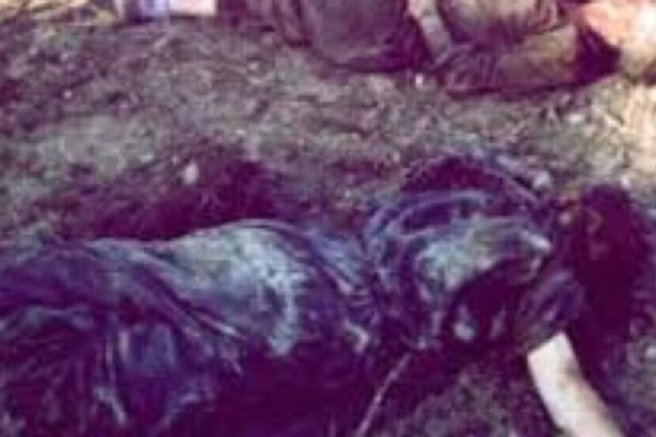 Незаживающая рана Кандаколя: 25 лет спустя турецкие военные остаются безнаказанными