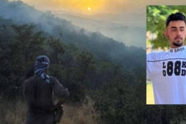 Активист-эколог умер, пострадав в борьбе с лесным пожаром