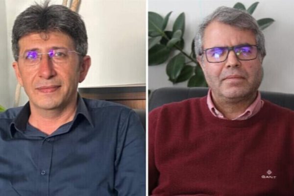 Али Бозан: комитет министров дал Турции возможность затянуть процесс