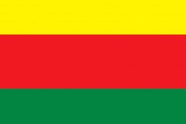 ДДО: убийцы женщин и детей не смогут построить Родину для сирийцев