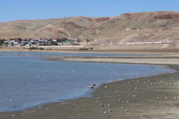 Энергетические проекты угрожают природе в Ване