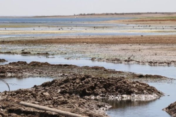 Фотографии падения уровня Евфрата: фермеры Сирии страдают от турецкой блокады воды