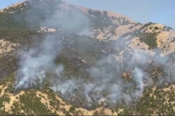 Лесной пожар в Шамзинане не стихает