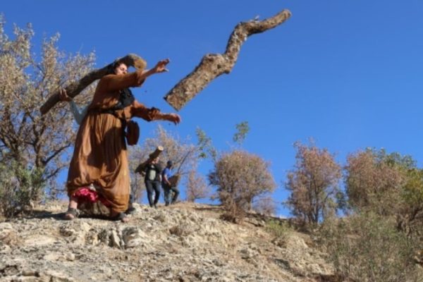 Матери мира: мы будем бороться, пока вырубка лесов не прекратится