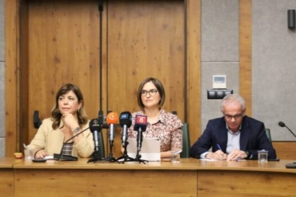 Мераль Даниш Бешташ: Комиссия по курдскому вопросу может встретиться с Оджаланом