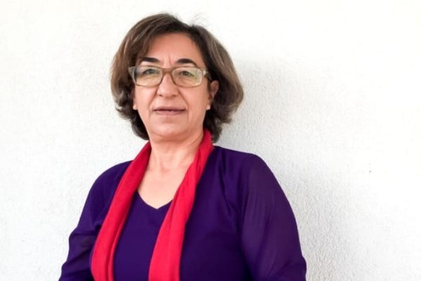 Международный призыв освободить Айше Гёккан накануне суда в Амеде