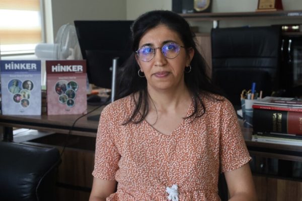 Ремзие Альпарслан: комиссия парламента должна учитывать требования по курдскому языку