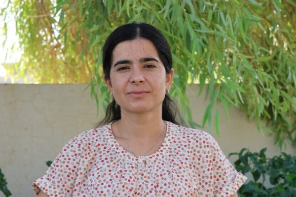 Сухам Шенгали: ДПК использует Соглашение от 9 октября как угрозу езидской общине