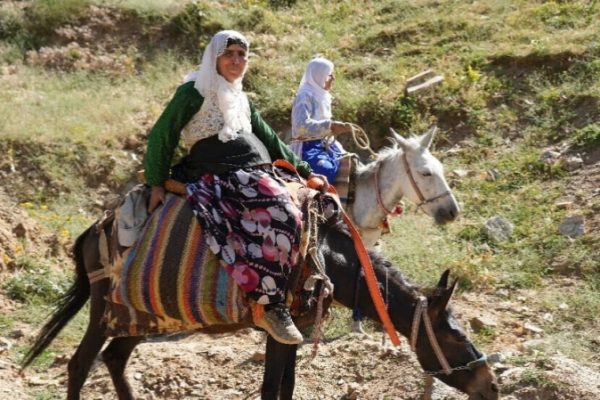 Женщины Вана занимаются сельских хозяйством в горах: Нас никто не видит!