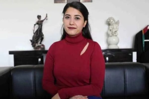 Дилан Кунт Аян: 11-й судебный пакет подрывает общественное доверие к правовой системе