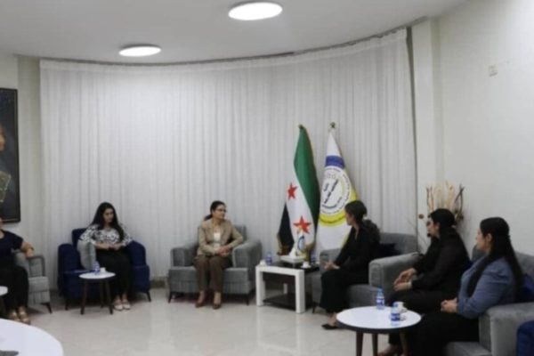 Ильхам Ахмед обсудила с делегацией переселенок из Сарекание вопрос безопасного возвращения