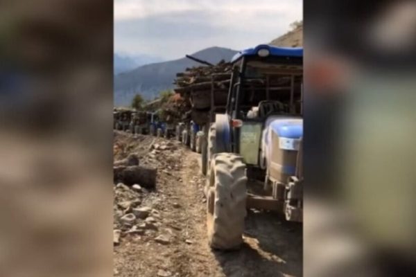 Камеран Осман: Турция продолжает грабить леса Бахдинана