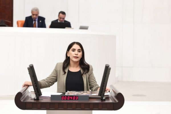 Науроз Уйсал Аслан представила в парламент законопроект о «праве на надежду»