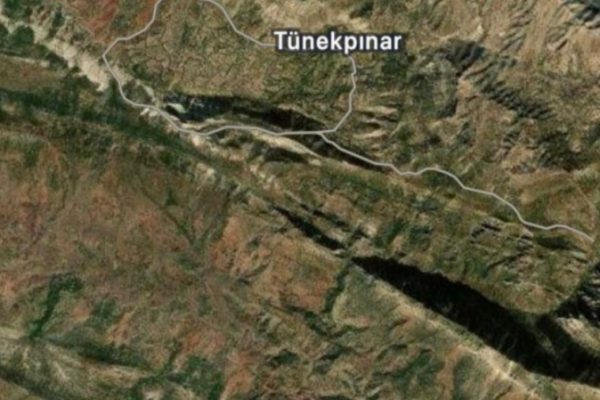 Солдаты отобрали телефон у гражданина, снимавшего вырубку леса в Габаре