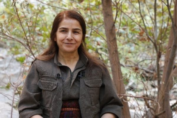 Чигдем Догу: парламент должен выслушать Оджалана и принять законы об интеграции