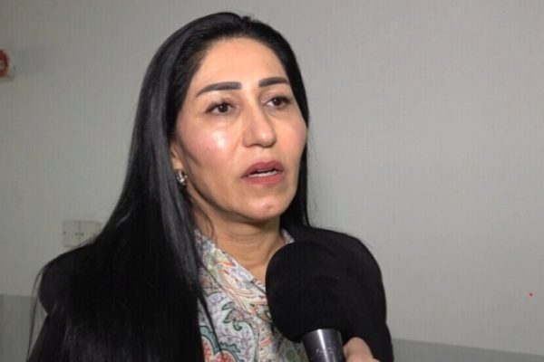 Резан Шейх Делер: поправка к закону о статусе заставила сотни женщин бежать в Курдистан