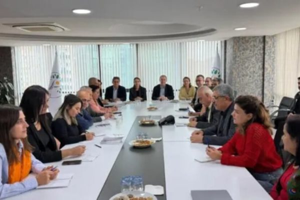 Сопредседатели ПНРД встретились с Советом демократического местного самоуправления