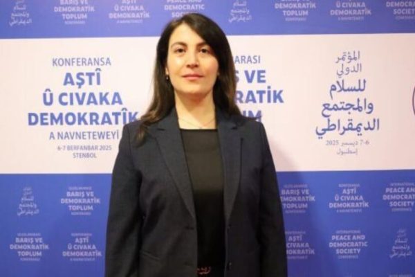 Амина Зикри: стабильность Турции, Курдистана, Сирии и Ирана тесно взаимосвязана