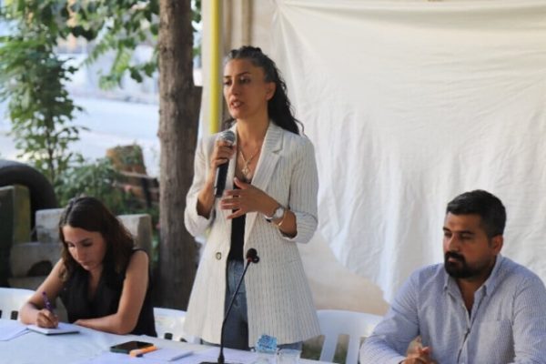 Назначенный мэр Мардина подал иск против бывшего со-мэра за критику в соцсетях