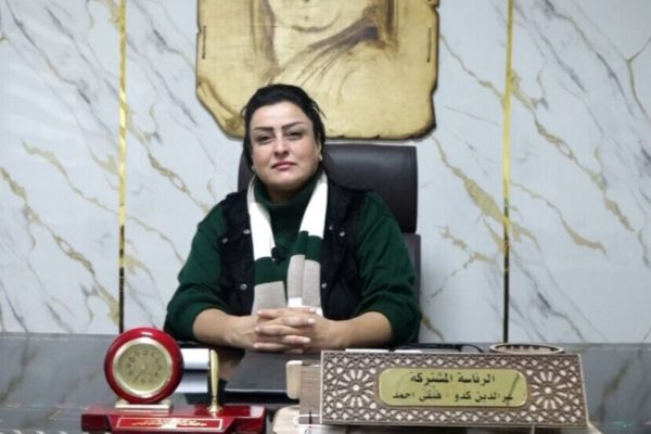 Система сопредседательства: исправление долгой истории односторонних решений