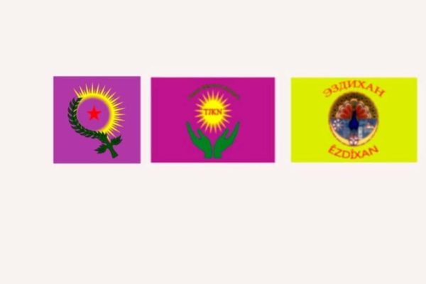 Курдские организации в России выразили тревогу из-за роста насилия в Иране и Сирии