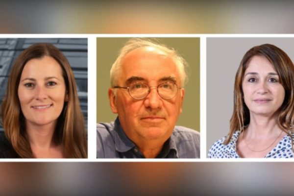 Призыв к солидарности: демократы должны поддержать курдскую революцию