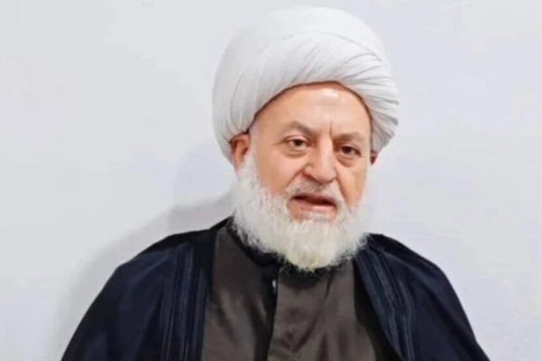 Шейх Хезал: временное правительство использует общество как инструмент торга