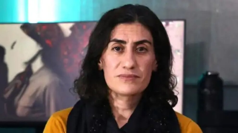 Гелавеж Эврин: партии готовы к любому сценарию в Иране