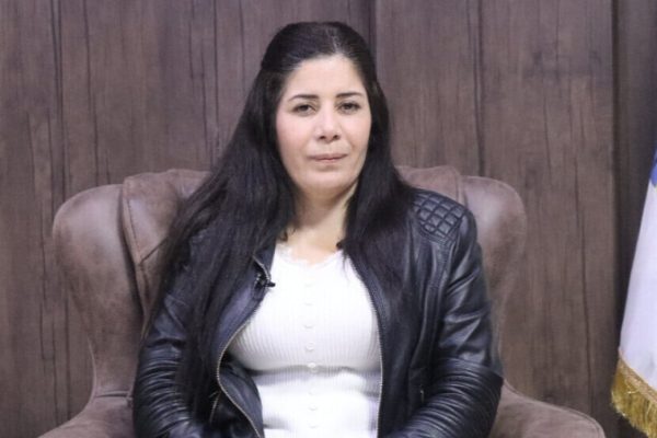 Мезгин Халил: историческая правда Ближнего Востока требует демократии и единства сегодня миру