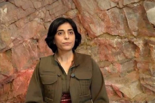 Пейман Виан: режим в Иране должен измениться или рухнет