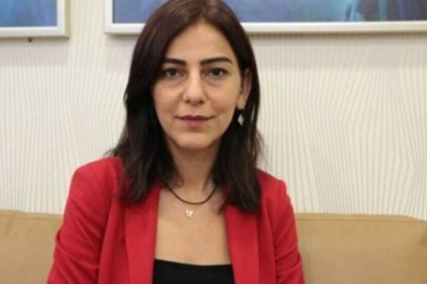 Сезин Учар: банды используются как инструмент политики в курдских районах