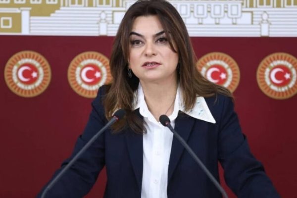 Гулистан Кочйигит: парламентский доклад должен стать основой правовых шагов