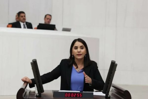 Науроз Уйсал Аслан обратилась в парламентский комитет