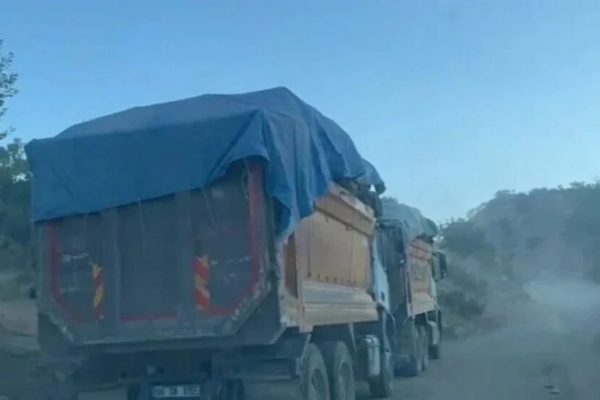 Тонны спиленных деревьев вывозят из Бесты грузовиками